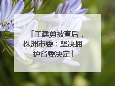 王建勇被查后，株洲市委：坚决拥护省委决定
