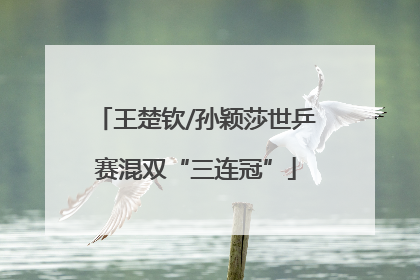 王楚钦/孙颖莎世乒赛混双“三连冠”