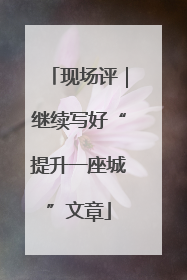 现场评｜继续写好“提升一座城”文章