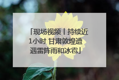 现场视频丨持续近1小时 甘肃敦煌遭遇雷阵雨和冰雹