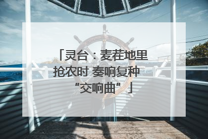 灵台：麦茬地里抢农时 奏响复种“交响曲”