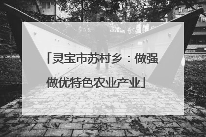 灵宝市苏村乡：做强做优特色农业产业