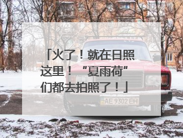 火了！就在日照这里！“夏雨荷”们都去拍照了！