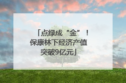 点绿成“金”！保康林下经济产值突破9亿元