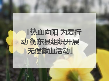 热血向阳 为爱行动 衡东县组织开展无偿献血活动