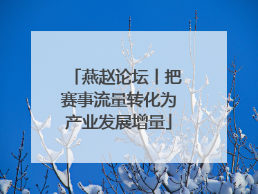 燕赵论坛丨把赛事流量转化为产业发展增量