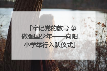 牢记党的教导 争做强国少年——向阳小学举行入队仪式