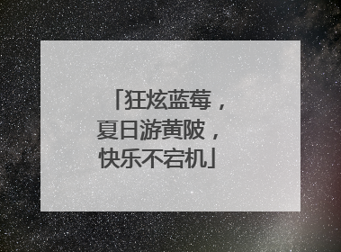 狂炫蓝莓，夏日游黄陂，快乐不宕机