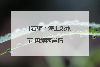 石狮：海上泼水节 再续两岸情