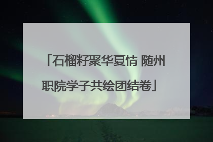石榴籽聚华夏情 随州职院学子共绘团结卷