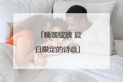 睡莲绽放 夏日限定的诗意