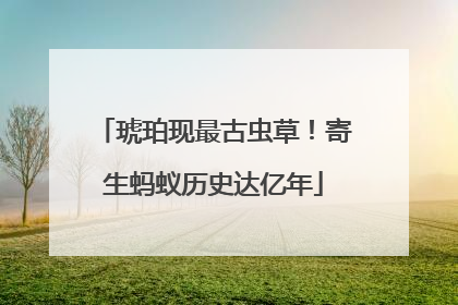 琥珀现最古虫草！寄生蚂蚁历史达亿年