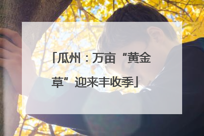 瓜州：万亩“黄金草”迎来丰收季