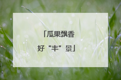 瓜果飘香 好“丰”景