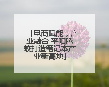 电商赋能，产业融合 平阳腾蛟打造笔记本产业新高地