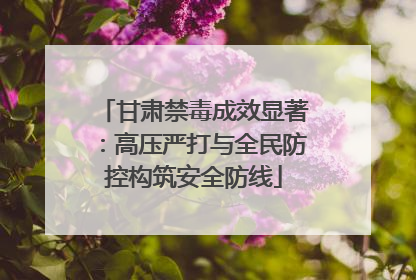 甘肃禁毒成效显著：高压严打与全民防控构筑安全防线