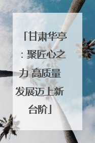 甘肃华亭：聚匠心之力 高质量发展迈上新台阶