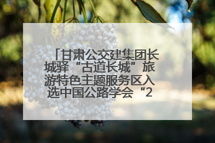 甘肃公交建集团长城驿“古道长城”旅游特色主题服务区入选中国公路学会“2025年度交通与旅游融合创新项目”
