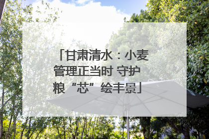 甘肃清水：小麦管理正当时 守护粮“芯”绘丰景