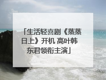 生活轻喜剧《蒸蒸日上》开机 高叶韩东君领衔主演