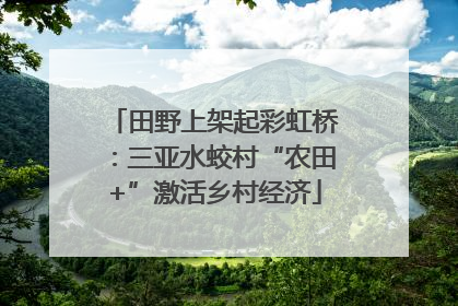 田野上架起彩虹桥：三亚水蛟村“农田+”激活乡村经济