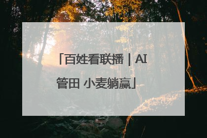 百姓看联播｜AI管田 小麦躺赢