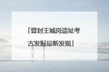 登封王城岗遗址考古发掘最新发现