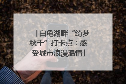 白龟湖畔“绮梦秋千”打卡点：感受城市浪漫温情