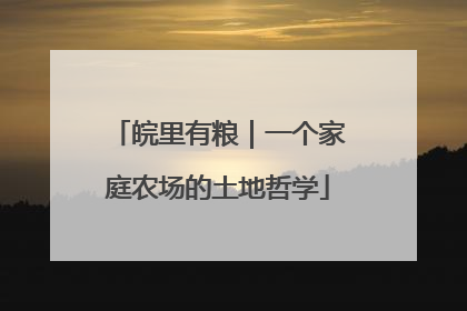 皖里有粮｜一个家庭农场的土地哲学