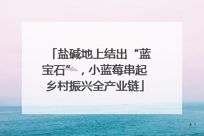 盐碱地上结出“蓝宝石”，小蓝莓串起乡村振兴全产业链