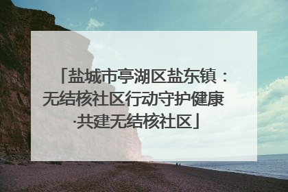 盐城市亭湖区盐东镇：无结核社区行动守护健康 ·共建无结核社区