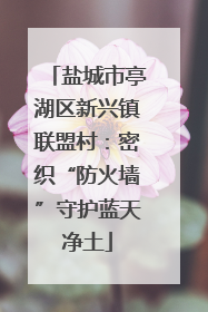盐城市亭湖区新兴镇联盟村：密织“防火墙”守护蓝天净土