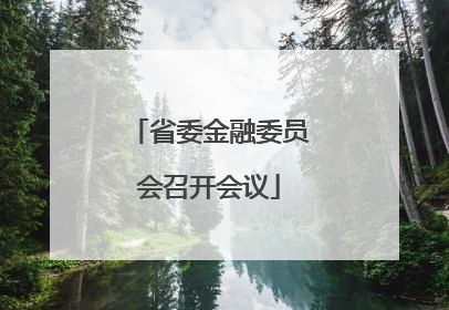 省委金融委员会召开会议