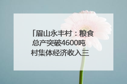 眉山永丰村：粮食总产突破4600吨 村集体经济收入三年倍增｜牵挂的村