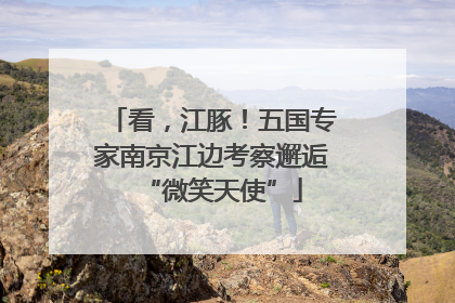 看，江豚！五国专家南京江边考察邂逅“微笑天使”