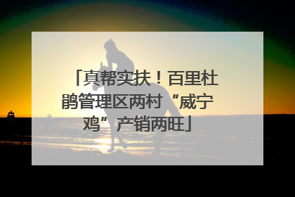 真帮实扶！百里杜鹃管理区两村“威宁鸡”产销两旺