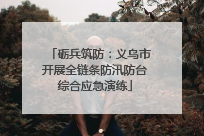 砺兵筑防：义乌市开展全链条防汛防台综合应急演练