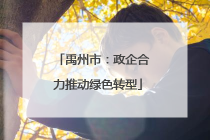 禹州市：政企合力推动绿色转型