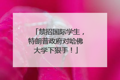 禁招国际学生，特朗普政府对哈佛大学下狠手！