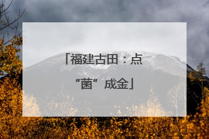 福建古田：点“菌”成金
