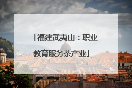 福建武夷山：职业教育服务茶产业