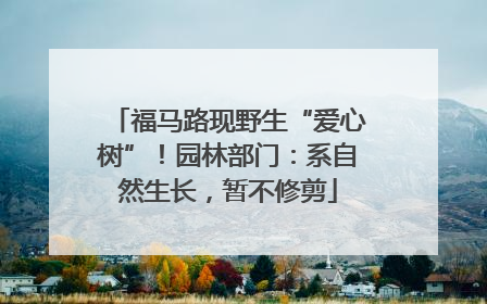 福马路现野生“爱心树”！园林部门：系自然生长，暂不修剪