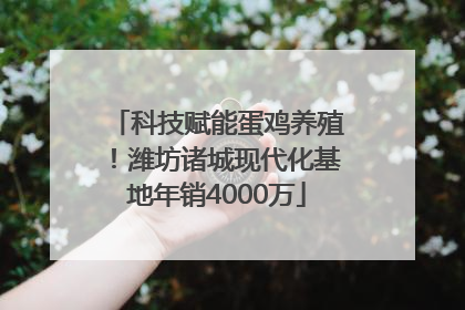 科技赋能蛋鸡养殖！潍坊诸城现代化基地年销4000万
