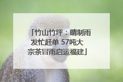 竹山竹坪：晴制雨发忙赶单 57吨大宗茶冒雨启运福建