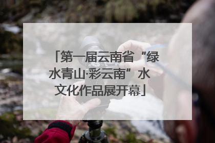 第一届云南省“绿水青山·彩云南”水文化作品展开幕