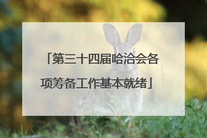 第三十四届哈洽会各项筹备工作基本就绪