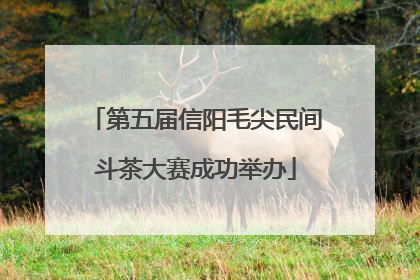 第五届信阳毛尖民间斗茶大赛成功举办