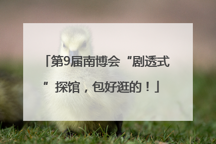 第9届南博会“剧透式”探馆，包好逛的！