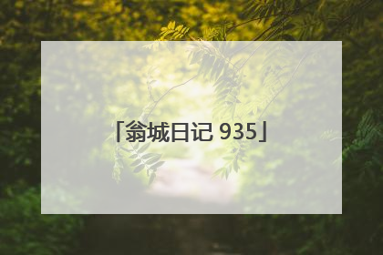 翁城日记 935