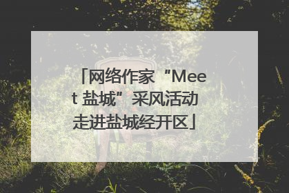 网络作家“Meet 盐城”采风活动走进盐城经开区